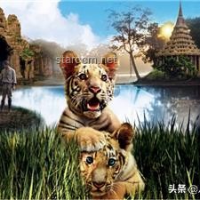 印男子泰国景区摸老虎屁股遭扑咬：安全游览野生动物区指南